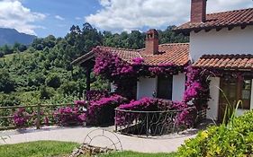 Apartamentos La Güertona